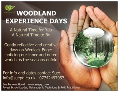 woodland experience
