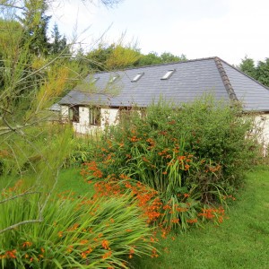 Peacehaven Healing Centre