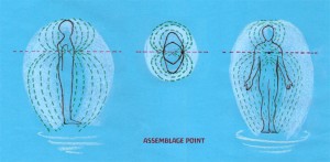 assemblage_sr