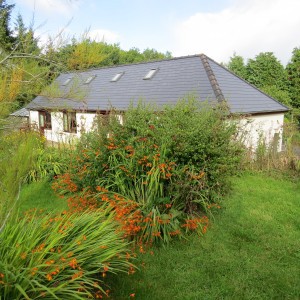 Peacehaven Healing Centre