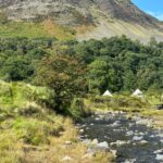 Retreat of Dreams with June Meagher